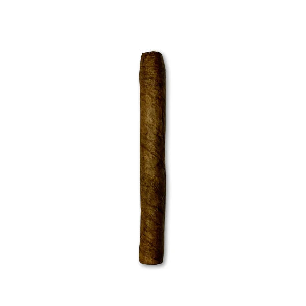 HOH Euro Senoritas Maduro