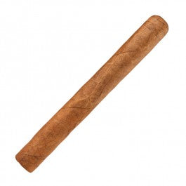 Brotherhood Maduro Toro