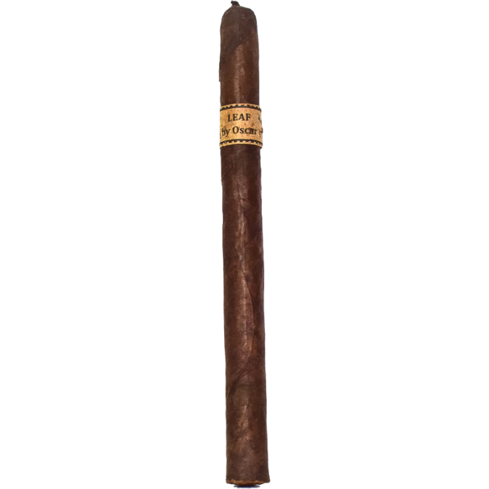 Leaf by Oscar Sumatra Lancero